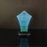 CLS Properties INC. Awarding Ceremony & Christmas Party Plaque of Recognition Small 6.5 inch