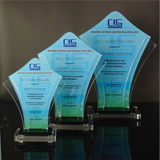 CLS Properties INC. Awarding Ceremony & Christmas Party Plaque of Recognition Small 6.5 inch