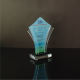 CLS Properties INC. Awarding Ceremony & Christmas Party Plaque of Recognition Small 6.5 inch