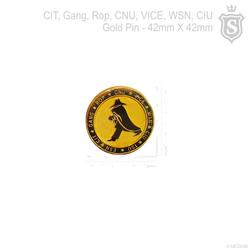 CIT, GANG, ROP, CNU, VICE, WSN, CIU, TSU, ESN Pin