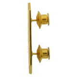 Comptroller Pin