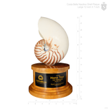 Nautilus Shell Plaque with Wood Base 12 inch