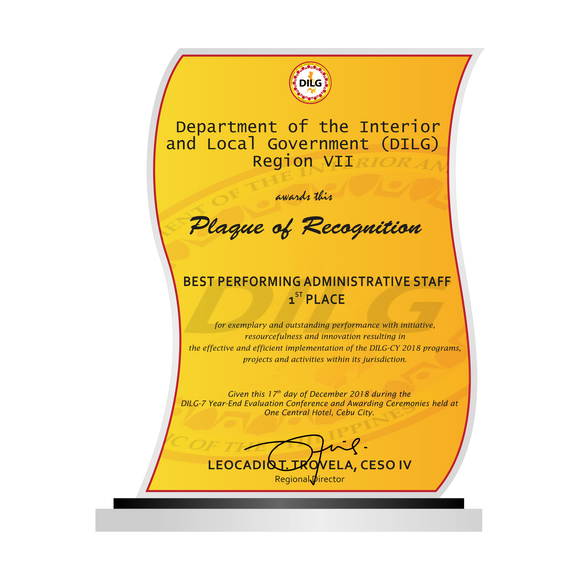 DILG Best Performing Administrative Staff Plaque - DILG