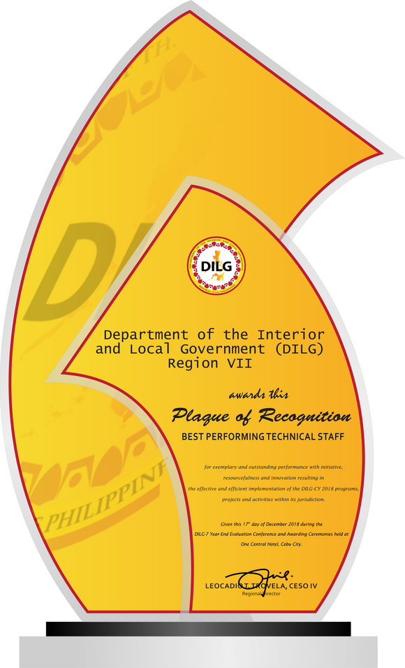 DILG Best Performing  Technical Plaque - DILG