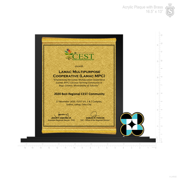 DOST PLAQUE