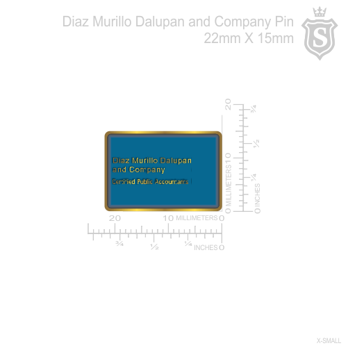 Diaz,Murillo,Dalupan and Company Pin