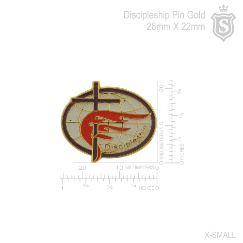 Discipleship for Free Methodist Church Pin