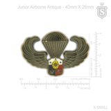 Junior Airborne Pin Gold - PNP