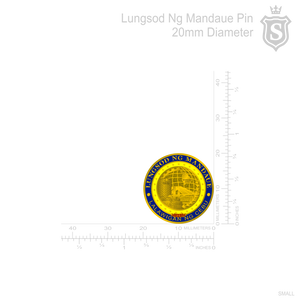 Lungsod ng Mandaue Pin