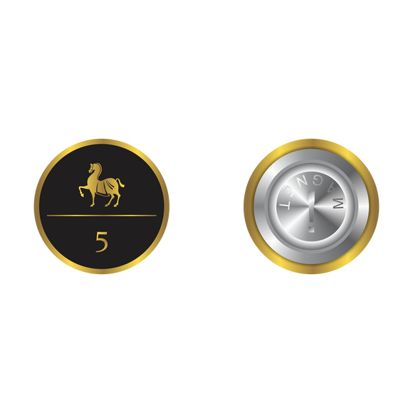 Marco Polo Pin