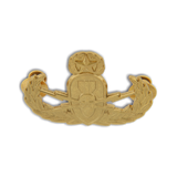 Master EOD Bombsquad Pin Gold