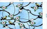 Dividers and Window Graphics  - Printed Design