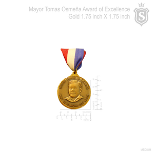 Mayor Tomas Osmeña Award of Excellence Medal
