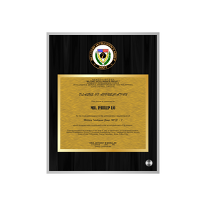 Military Intelligence Group 7 Acrylic Plaque