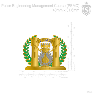Police Engineering Management Course (PEMC) Pin - PNP