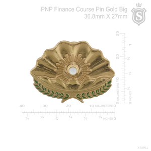 Finance Course Pin - PNP