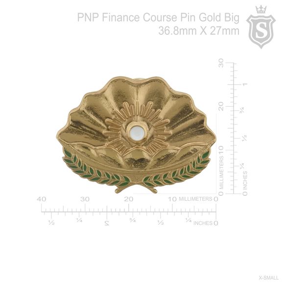 Finance Course Pin - PNP