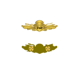 PNP Scuba Pin