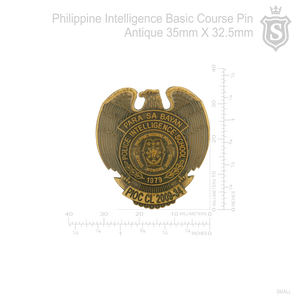 Intelligence Basic Course (IBC) Pin - PNP