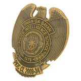 Intelligence Basic Course (IBC) Pin - PNP