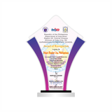 Generic Acrylic Plaque Double Body