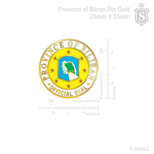 Province Biliran Pin