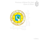 Province Biliran Pin
