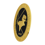 South Western University (SWU) College of Nursing Pin Big