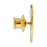 South Western University (SWU) Health Science Management Pin