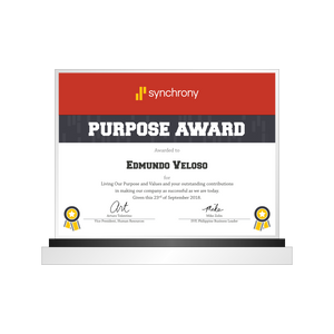 Synchrony Plaque 2018