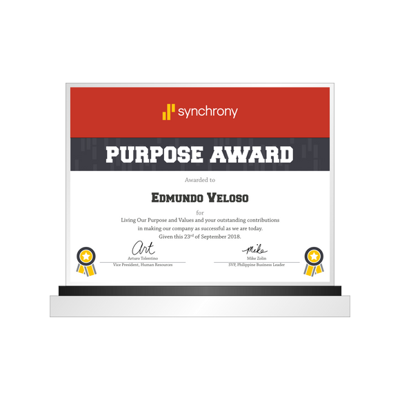 Synchrony Plaque 2018