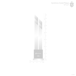 Synchrony Plaque 2020
