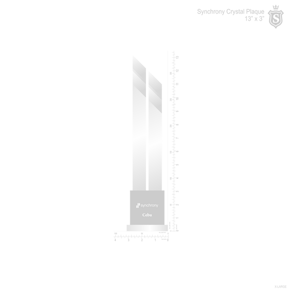 Synchrony Plaque 2020