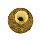 Sacred Heart Hospital Pin Gold