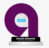 Skyes Plaque 8"