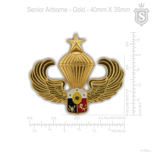 Senior Airborne Pin Gold