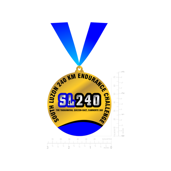 South Luzon  240 Medals
