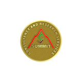Crown And Summit Pin