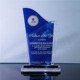 Suzuki Partner of the Year Award 7.75 inch