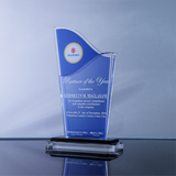 Suzuki Partner of the Year Award 7.75 inch