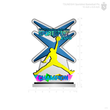 Tsuneishi Sportsfest 2019