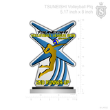 Tsuneishi Volleyball League 2019