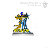 Tsuneishi Volleyball League 2019