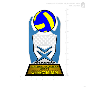 Tsuneishi Volleyball League 2019