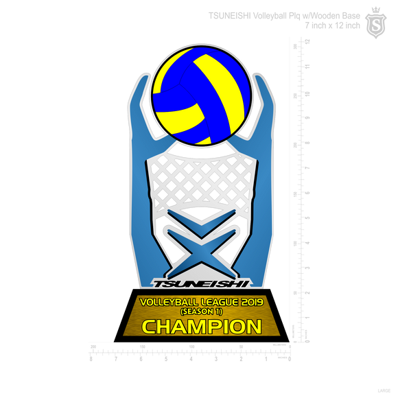 Tsuneishi Volleyball League 2019