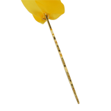 TTD 70K Marathon Medal