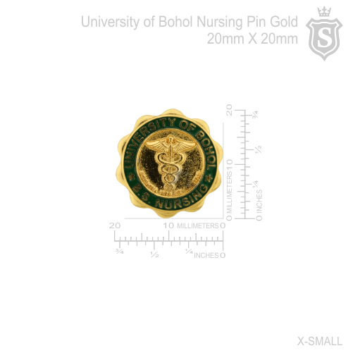 University of Bohol Nursing Pin Gold 20mm