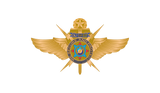 VIP Master Pin - PNP